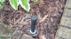 Hunter Tryska MULTISTREAM - MSBN 25Q