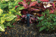 Hunter Tryska MULTSTREAM - MSBN 50Q