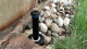 Hunter Tryska BUBBLER - PCN 25