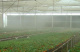 Senninger Irrigation Mlžicí tryska FOGGER, ADV, 5 mm barb, bílá