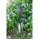 Zahradnická lopatka nerez s ergonomickou rukojetí Darlac DP540