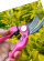 Vesco 701 LADY zahradnické nůžky