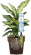 GF Garden AQUAFLORA HOLIDAY, BLUE