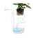 GF Garden AQUAFLORA MAXI 1,4l, LIME