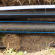 PE-MD / PE 80S (PN 8) - návin - typ: 25x2,0mm