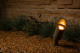 FX Luminaire Světelný zdroj MR-16-ZD, 5 W, 40°, LED, 2700 K