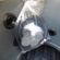 GRAF CARAT 13000 l