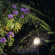 ArtLights Olona, 1,5 W, LED